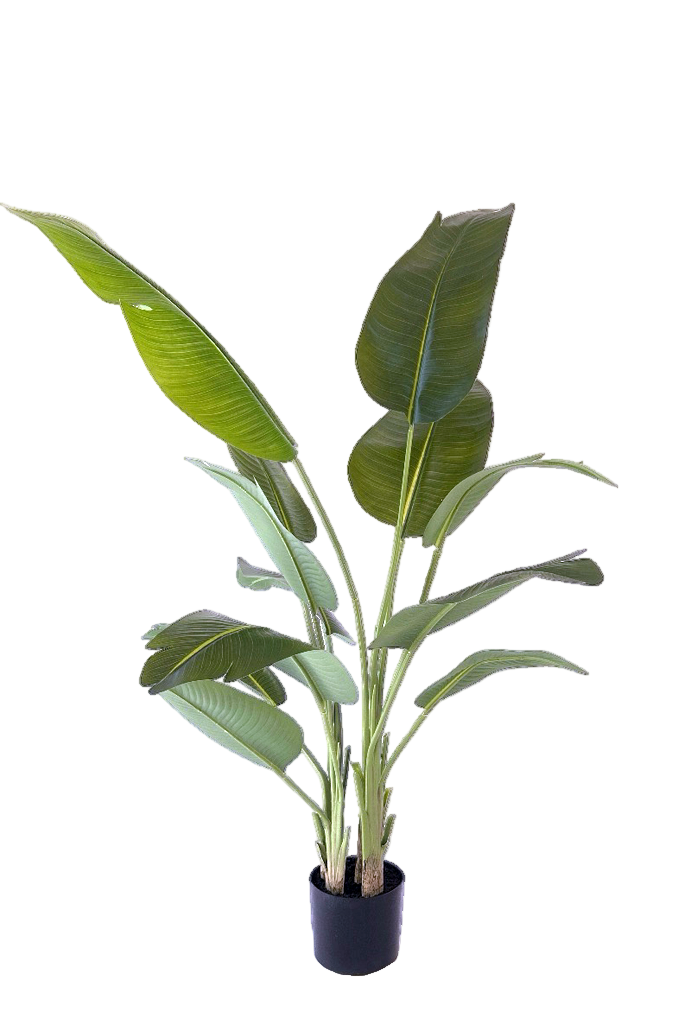 NEVERLEAFS KUNSTPLANT STRELITZIA 180 CM REAL TOUCH