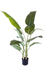 NEVERLEAFS KUNSTPLANT STRELITZIA 200 CM REAL TOUCH