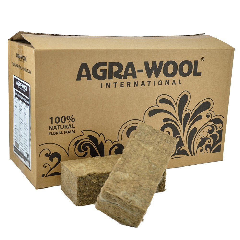 SIDEAU 100% NATURAL FLORAL FOAM STEEKSCHUIM DOOS 20 STUKS 23X10X7.5CM