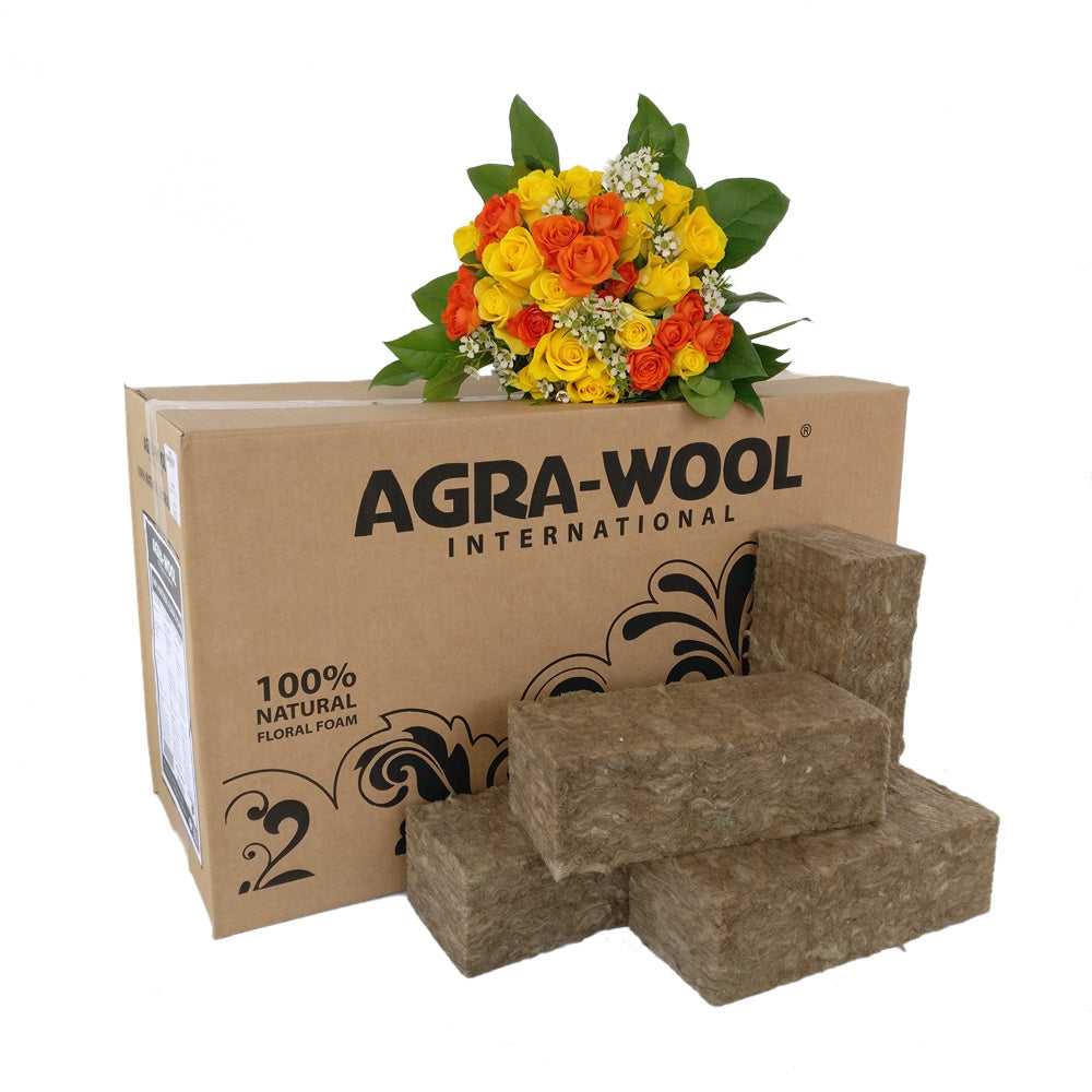 SIDEAU 100% NATURAL FLORAL FOAM STEEKSCHUIM DOOS 20 STUKS 23X10X7.5CM