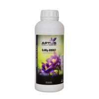 CaMg-BOOST 1 LITER