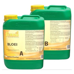 STANDAARD BLOEI A+B 5 LITER