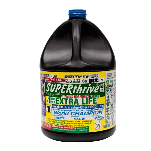 3800 ML (gallon)