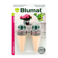 KAMERPLANT XL VERPAKT PER 2 VOOR POTTEN VANAF 15 CM