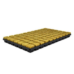 SBS STEKPLAAT 77 3.5X3.5X4CM PER DOOS = 18 TRAYS