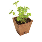  POT VIERKANT 8 CM PER 10 STUK