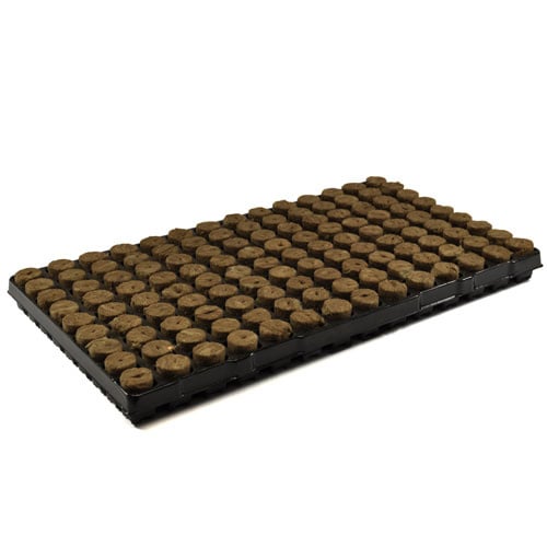 SPEEDGROW ZAAI & STEK PLUGGEN 126 (LOSSE TRAY)
