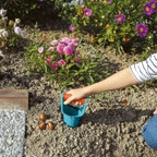 GARDENA BOLLENPLANTER