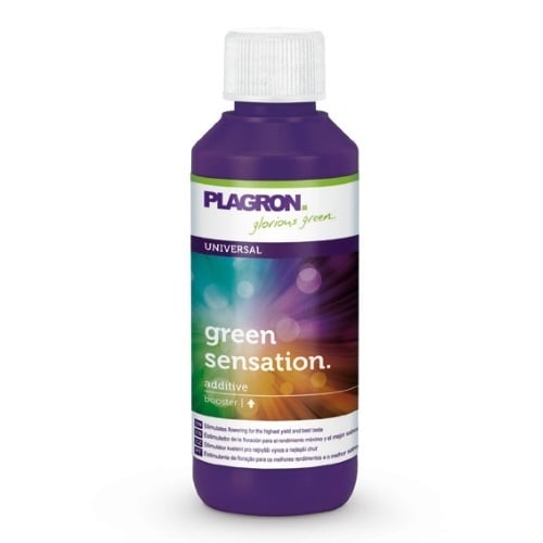  GREEN SENSATION 100 ML