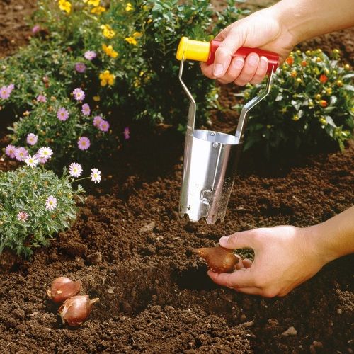  WOLF-GARTEN  FH-N BOLLENPLANTER 6 CM