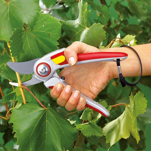  RR5000 PROFESSIONELE SNOEISCHAAR