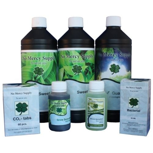 SUPPLY STARTERSSET