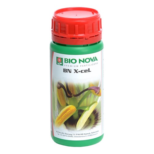X-CEL 250 ML