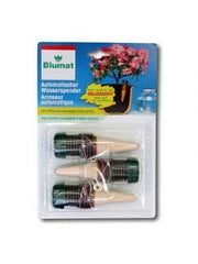 KAMERPLANT (3 STUKS)