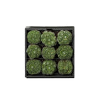 greenwall verticale tuin grijs