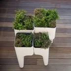  XL Designpot