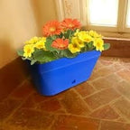  BLOEMBAK 60 CM BLAUW