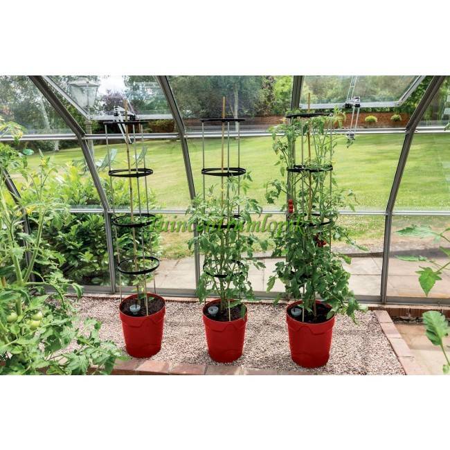  ZELF BEWATERENDE POT 11 LITER ROOD