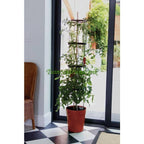  ZELF BEWATERENDE POT 11 LITER ROOD