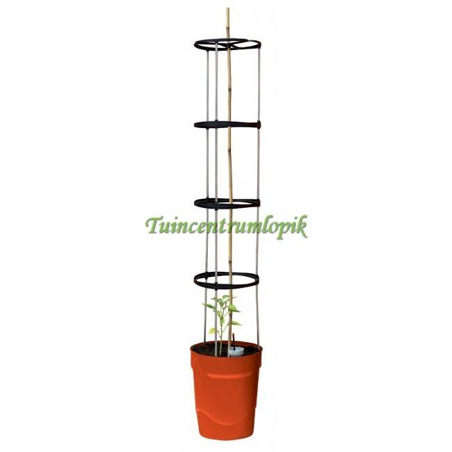  ZELF BEWATERENDE POT 11 LITER ROOD