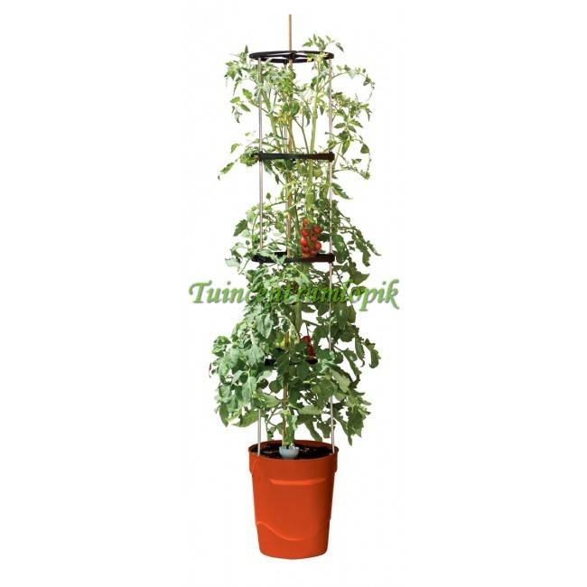 ZELF BEWATERENDE POT 11 LITER ROOD
