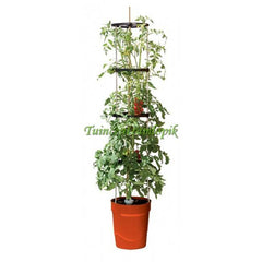  ZELF BEWATERENDE POT 11 LITER ROOD
