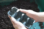 24 FAST ROOT PLANT CELLS