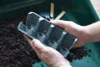 24 FAST ROOT PLANT CELLS