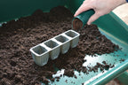 24 FAST ROOT PLANT CELLS