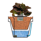 HYDROCULTUUR KWEEKSYSTEEM | WATERFARM & AQUAFARM V3 15 LITER