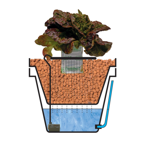 HYDROCULTUUR KWEEKSYSTEEM | WATERFARM & AQUAFARM V3 15 LITER