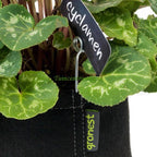  AQUA BREATHE FABRIC POT 1 LITER 9 X 9 X 11 CM