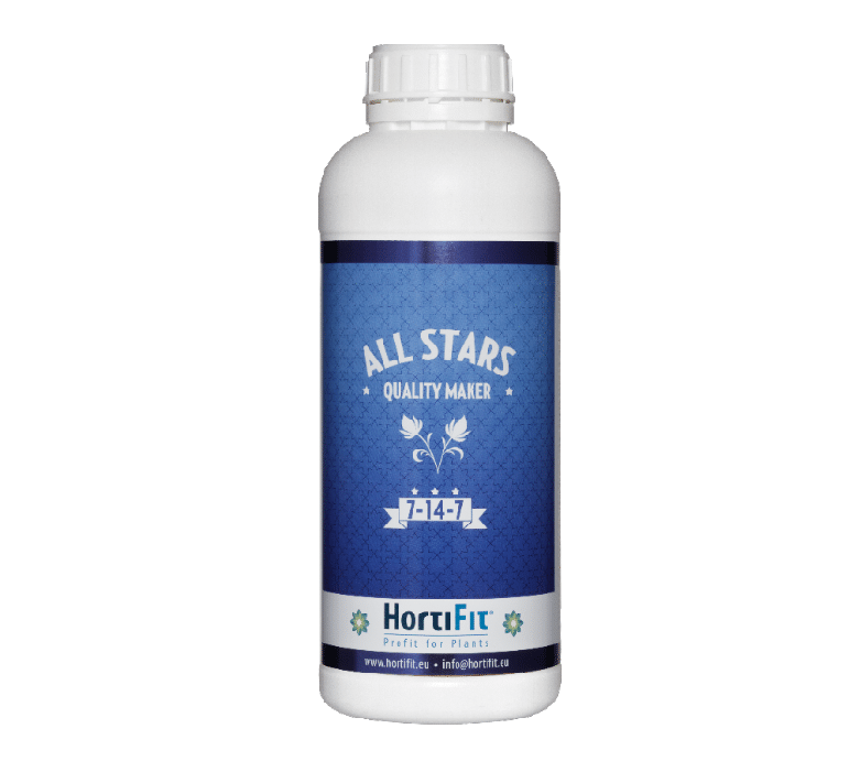 ALL STARS 1 LITER