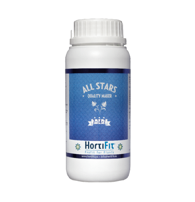 ALL STARS 250 ML