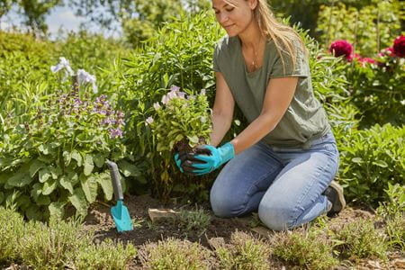 PLANT- EN BODEMHANDSCHOENEN MAAT L