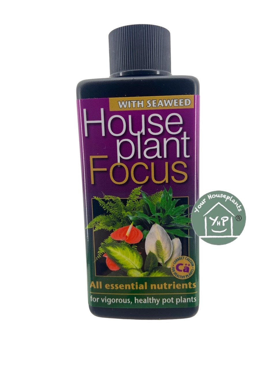 GROWTH TECHNOLOGY HOUSEPLANT FOCUS 500 ML