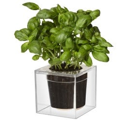 Cube, small, doorzichtig