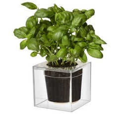 Cube, small, doorzichtig