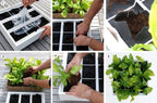 greenwall verticale tuin grijs