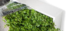 greenwall verticale tuin grijs