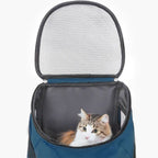 Ceruzo Hondenrugzak - Katten En Honden Tot Max 10 Kg - Petrol
