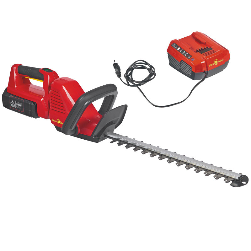 ACCU HEGGENSCHAAR LYCOS 40/600 H SET INCLUSIEF ACCU EN LADER