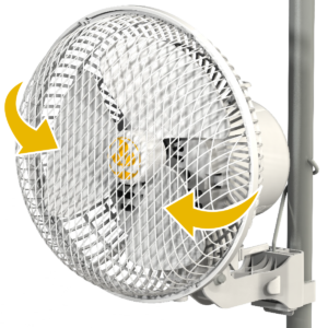 MONKEY FAN OSCILLEREND 17 CM (6.5") - 20W