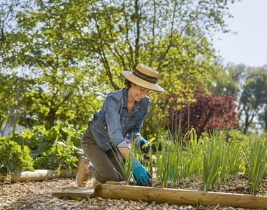  PLANT- EN BODEMHANDSCHOENEN MAAT L