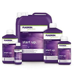 START UP 5 LITER