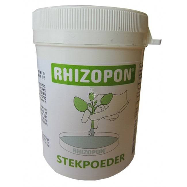 CHRYZOTOP GROEN STEKPOEDER 0.25% 25 GRAM