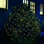 LED-lichtnetwerk met 100 LED's 