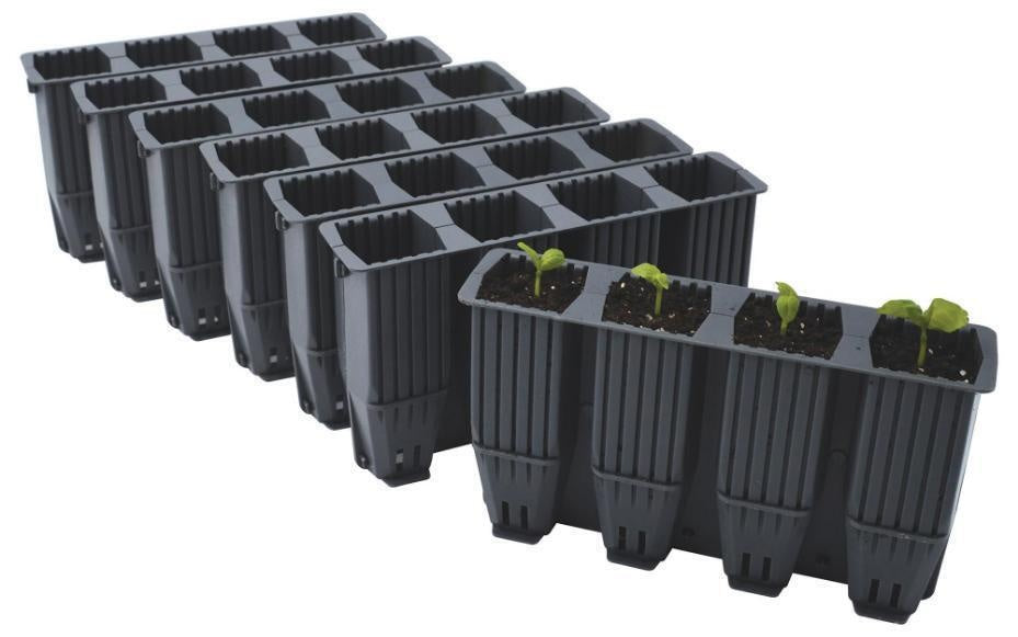  28 CELL DEEP ROOT SUCCESS KIT