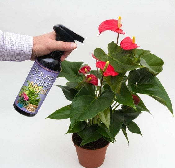 GROWTH TECHNOLOGY HOUSEPLANT MYST – 100 ML