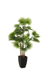 Palmboomventilator in pot plastic groen